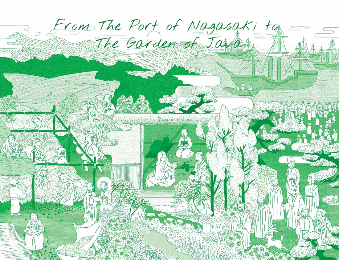 Tea Timeline: Chinese Tea, Nagasaki, Jesuit Missionaries, Dutch Tea Ship and the Path to Java, Indonesia